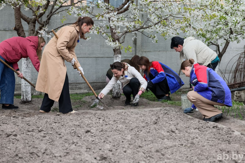 Молодежный десант помог ветерану из Бреста навести порядок на приусадебном участке