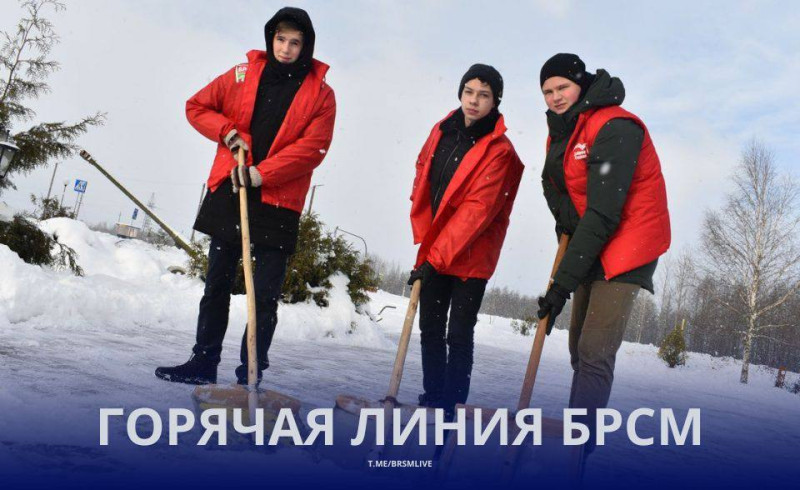 Горячие линии БРСМ